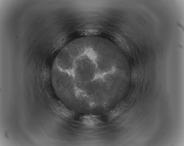 X0000096650367200802191248