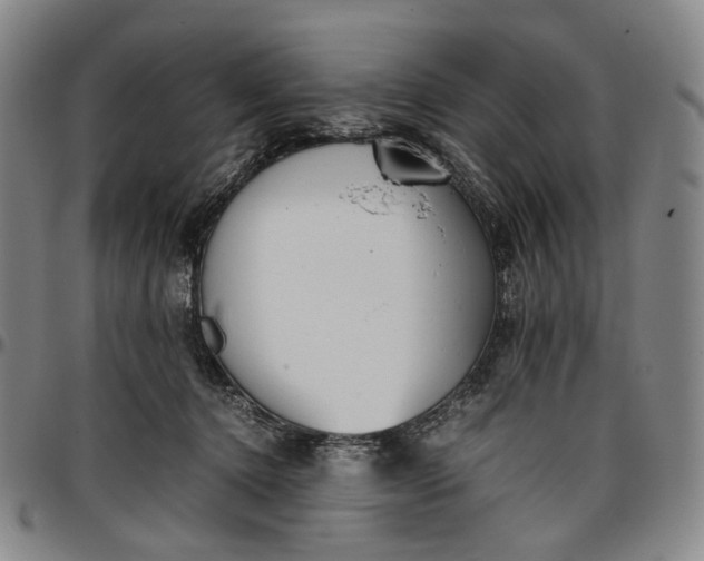 X0000096650368200802191248