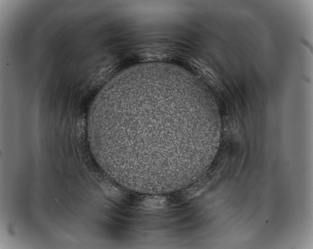 X0000096650369200802191248