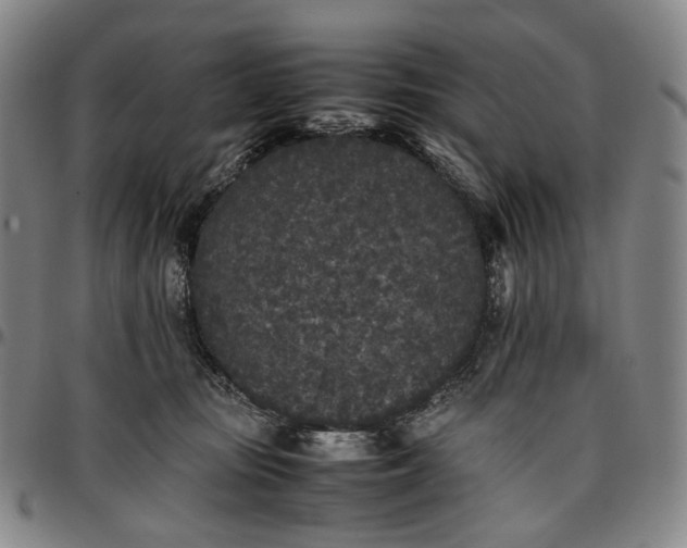 X0000096650371200802191248