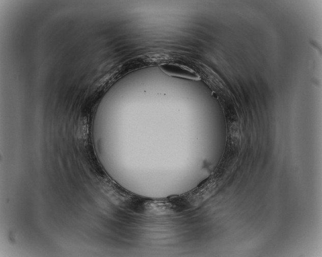 X0000096650372200802191248