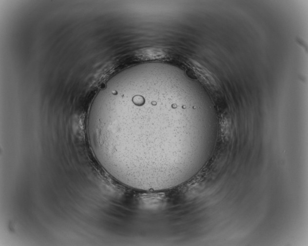 X0000096650373200802191248