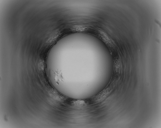 X0000096650374200802191248