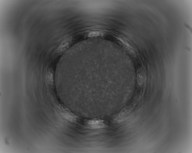 X0000096650375200802191248