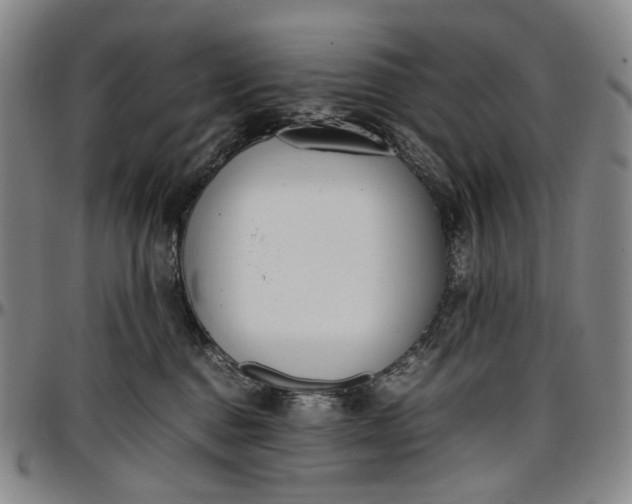 X0000096650376200802191248