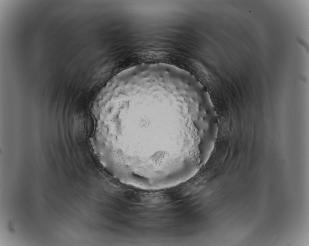 X0000096650377200802191248