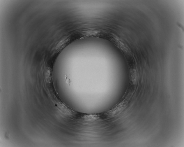 X0000096650378200802191248