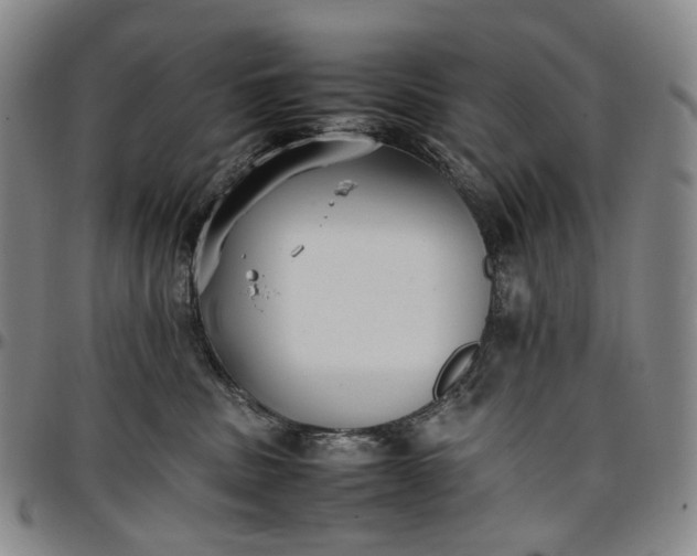 X0000096650379200802191248