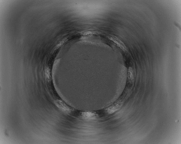 X0000096650380200802191248