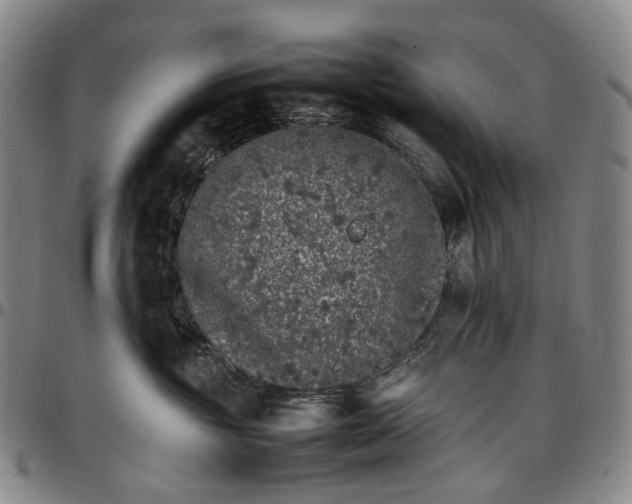 X0000096650381200802191248