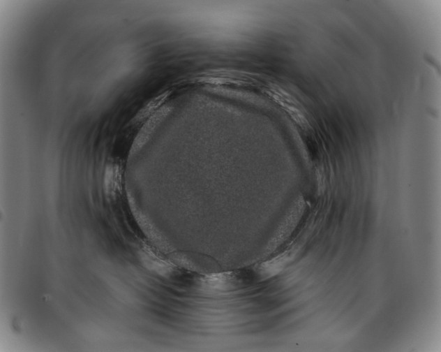 X0000096650382200802191248