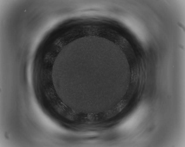 X0000096650383200802191248