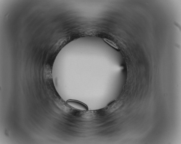 X0000096650384200802191248