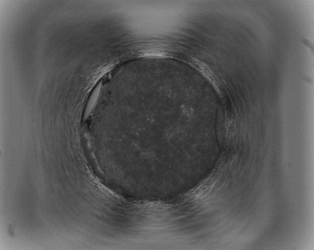 X0000096650385200802191247