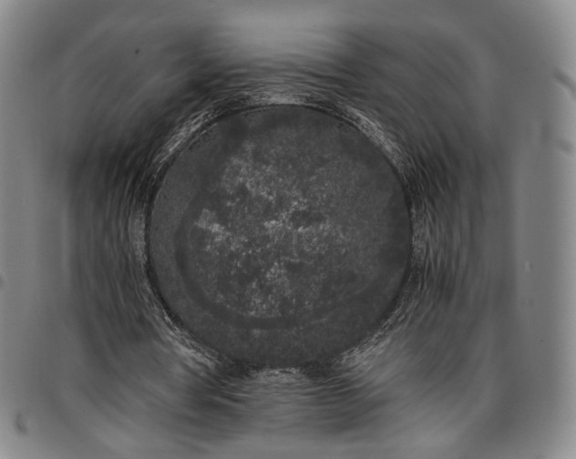X0000096650386200802191247