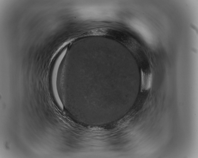 X0000096650387200802191247