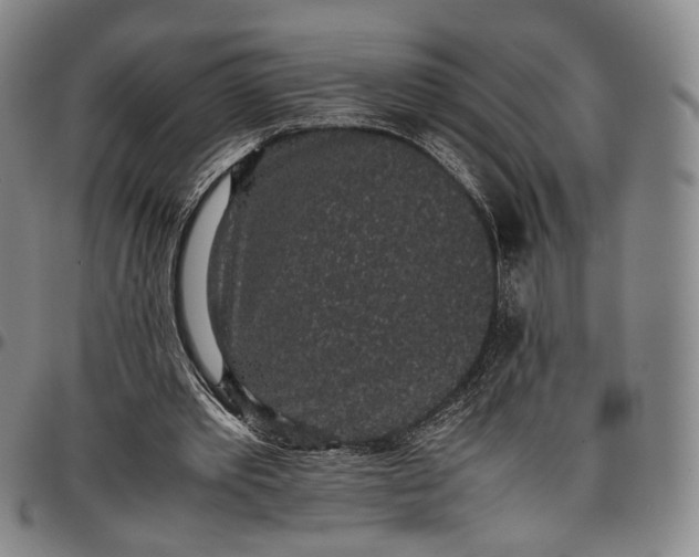 X0000096650389200802191247