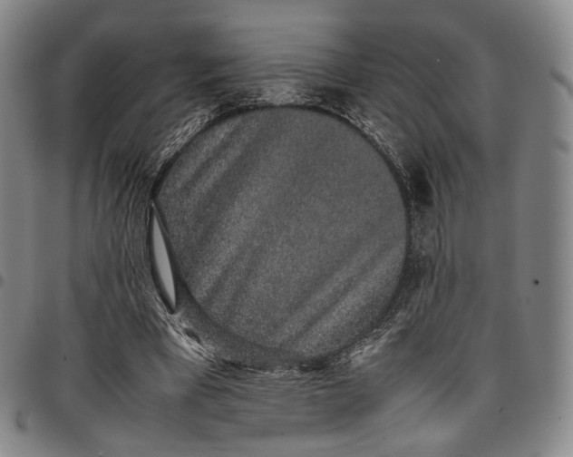 X0000096650393200802191247