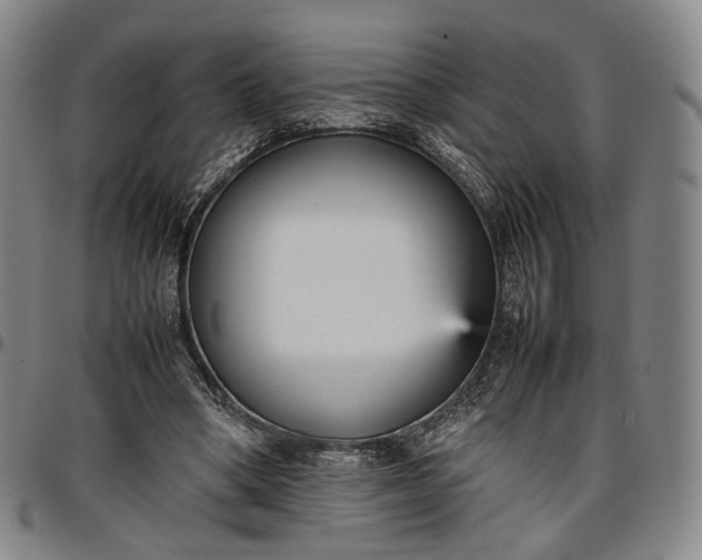 X0000096650394200802191247