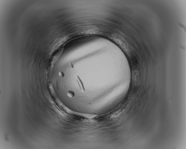 X0000096650397200802191247