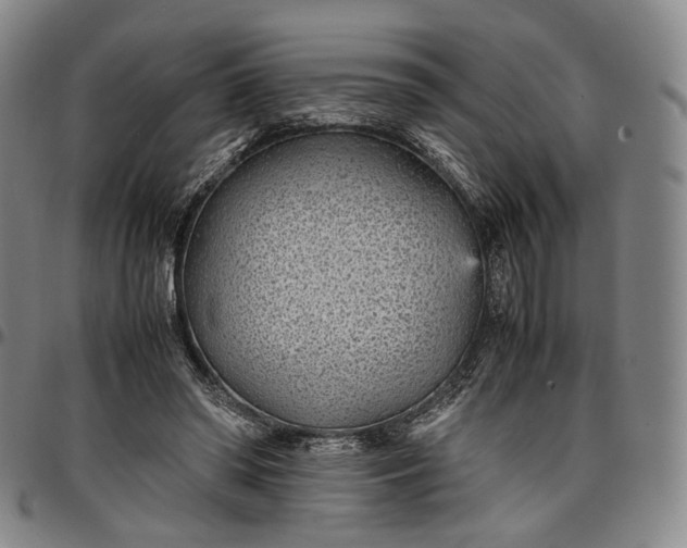 X0000096650398200802191247