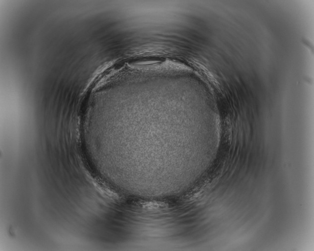 X0000096650400200802191247