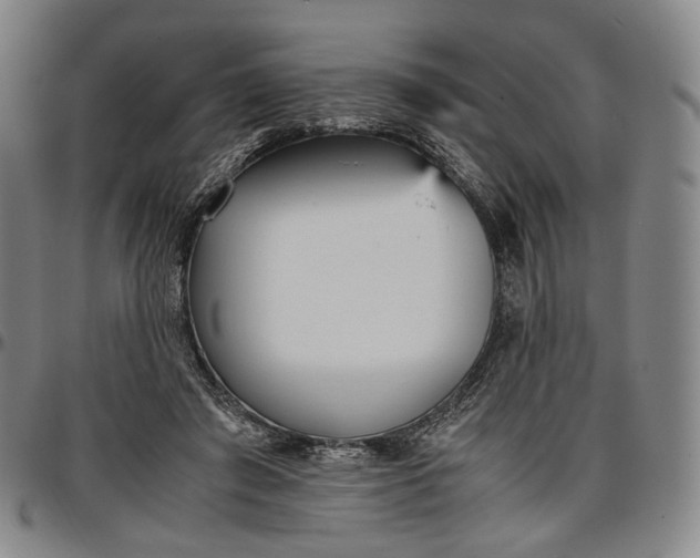 X0000096650401200802191247