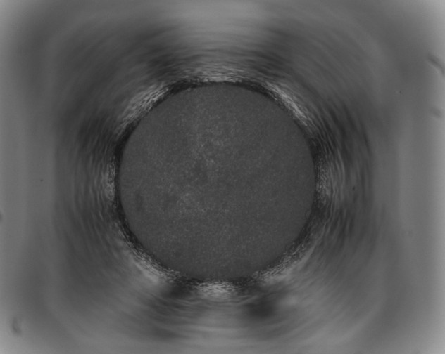 X0000096650402200802191247
