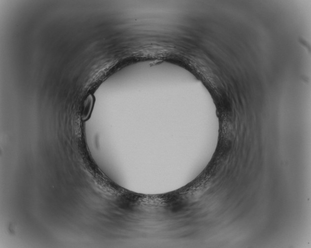X0000096650403200802191247