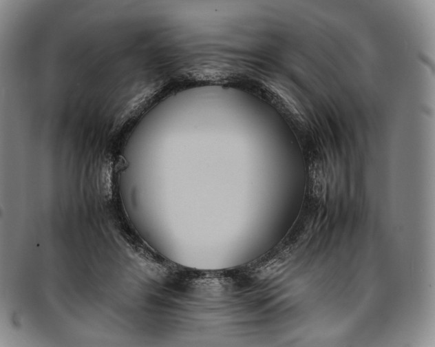 X0000096650404200802191247