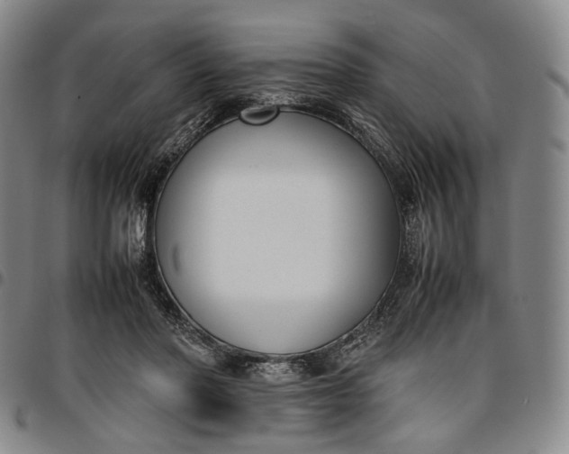 X0000096650406200802191247