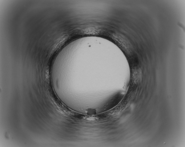 X0000096650407200802191247