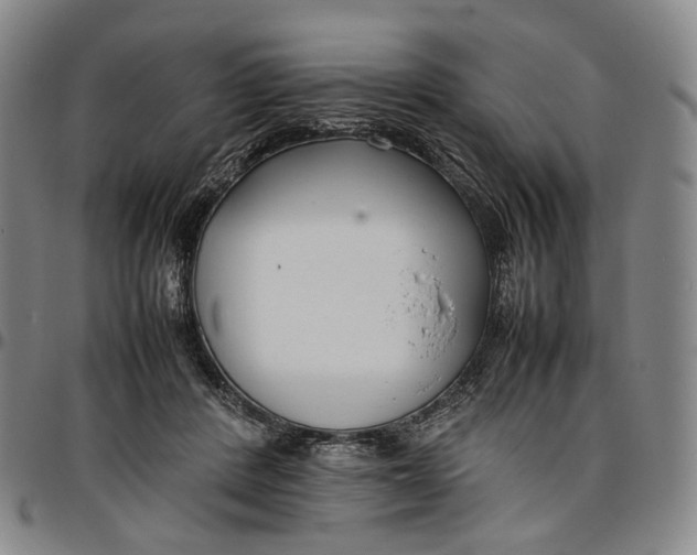 X0000096650408200802191247