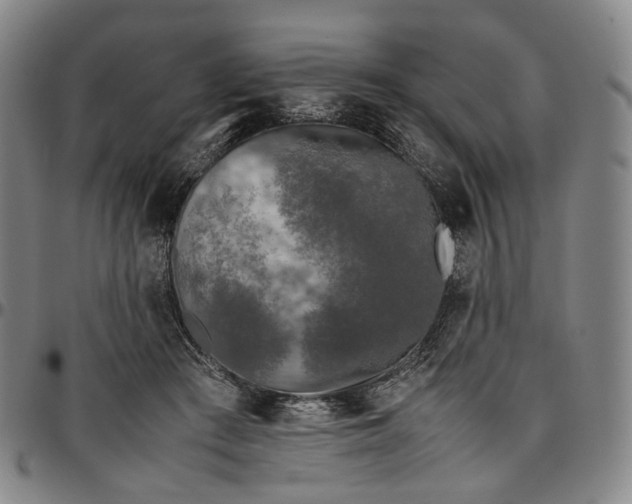 X0000096650409200802191247