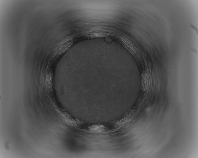 X0000096650410200802191247