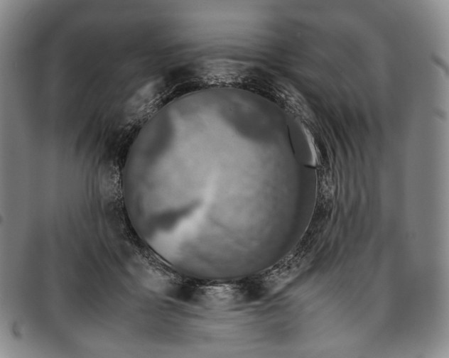 X0000096650411200802191247