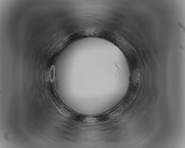 X0000096650413200802191247