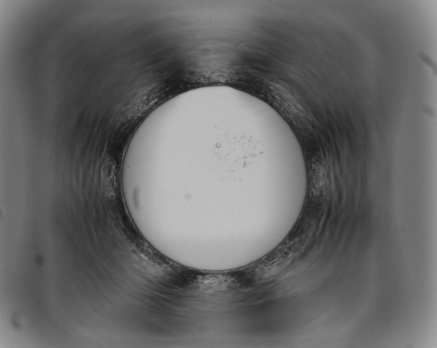 X0000096650414200802191247