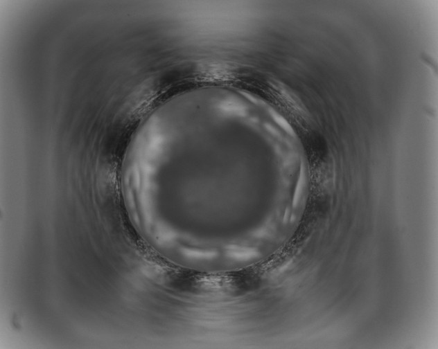 X0000096650415200802191247
