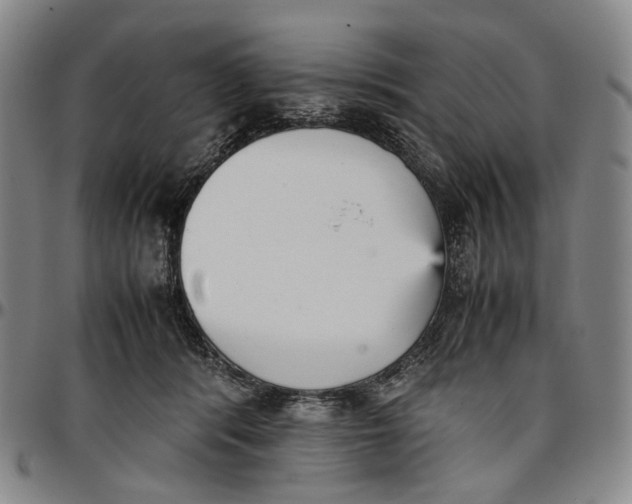 X0000096650416200802191247