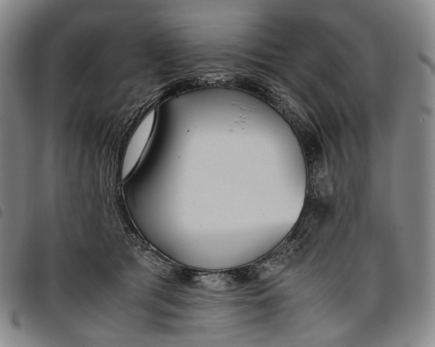 X0000096650417200802191247