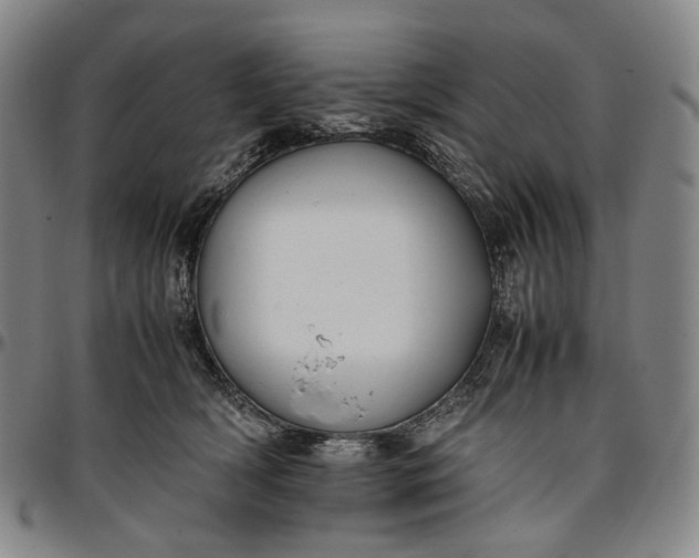 X0000096650418200802191247