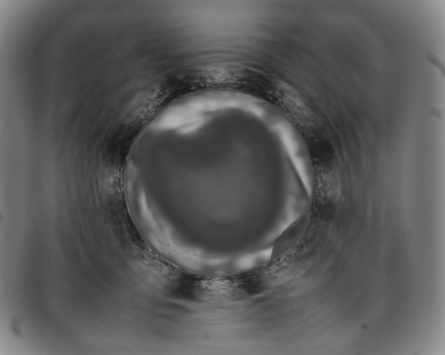X0000096650419200802191247