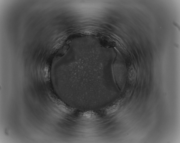 X0000096650420200802191247