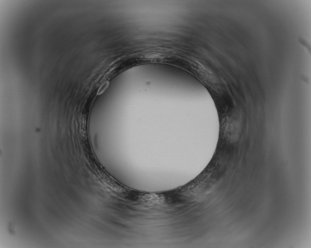 X0000096650421200802191247