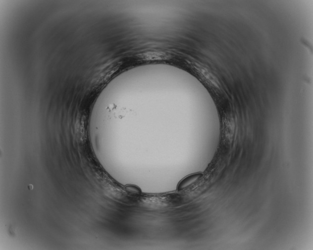 X0000096650422200802191247