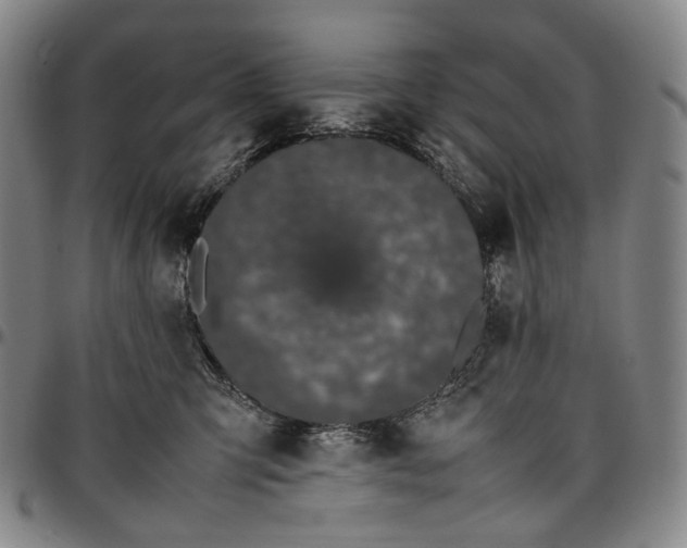 X0000096650423200802191247