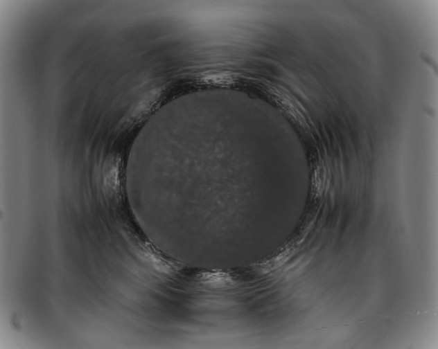 X0000096650424200802191247