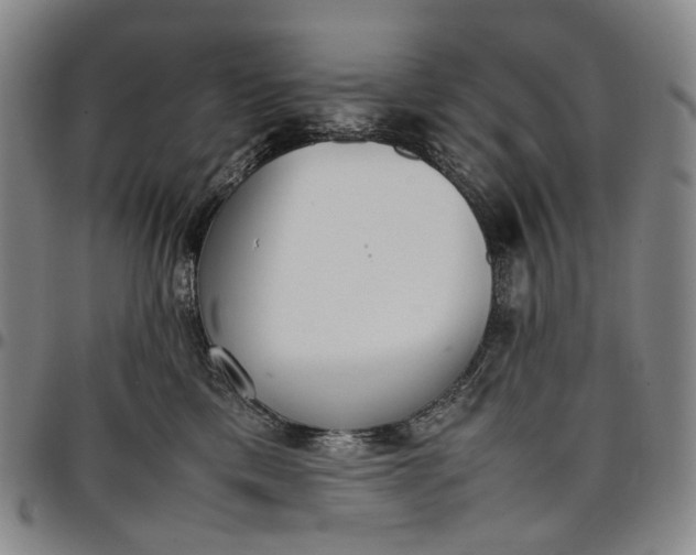 X0000096650425200802191247