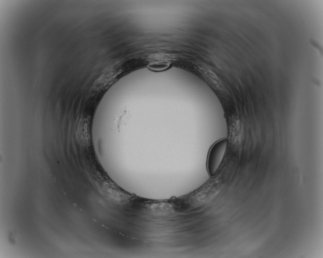X0000096650426200802191247